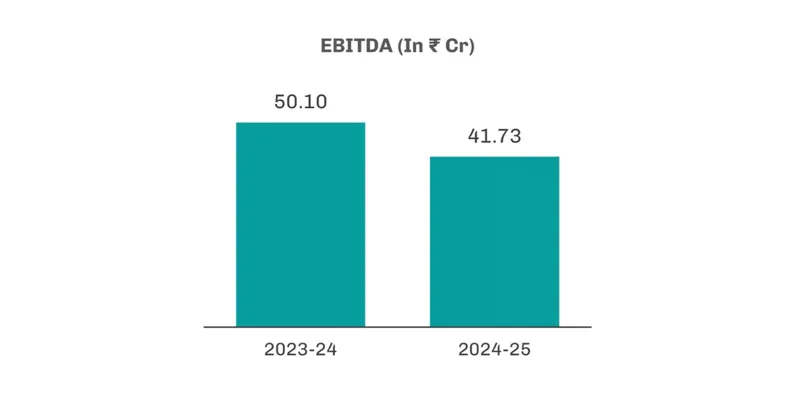 Cupid Ltd. (F.Y. 2024-2025)